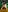 AlexandraJones_ SAN VALENTIN 2024 - NSFW Pic 7