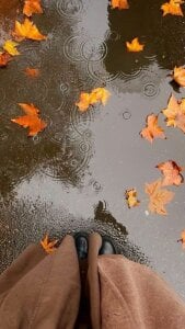 JuneWoods 🖤 Hình