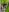saritha_cute_ Hello, your chic tells you Pic 2