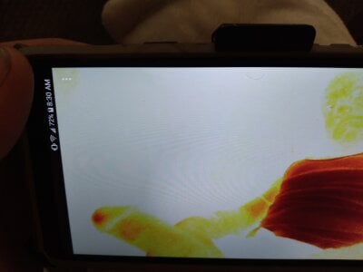 lilpervt D PEES Hình 6