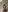 Islaymae_gilf Your eyes only Pic 3