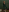 Orianna_FoxCall me boss照片 4