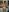 SofiaLopez77のIn underwear in my kitchenの 5枚の写真