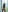 Asian_Asami Gentle Asami Photo 9