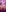 luluspussycamNackt-Bilder照片 6