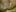 SonY_CaM Closeup Super Wet Pussy Pic 7