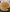 Var_Kiss My garden beauty Photo 8