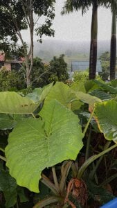 Kat_Saky Public Immagine  6