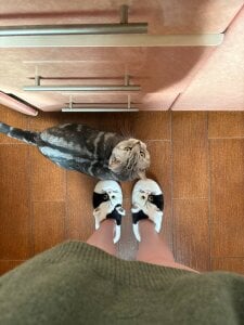 luna_berryy Footage where everything is real Pic 7