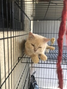 bebe_hemosa69x my bby Pic 2