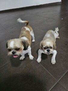 SophiaPotts Part of me صورة واحدة|SophiaPotts Part of me صورتان|SophiaPotts Part of me  2 صور|SophiaPotts Part of me  2 صورة