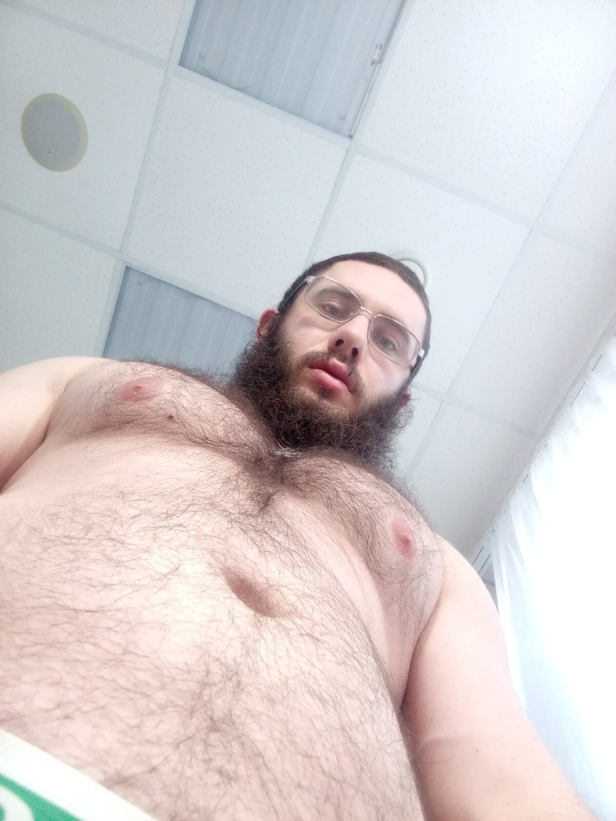 Ant_Power  7954. kiemelt képe