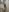 Sam_Sara NAKED FIRE! 🔥 Photo 3