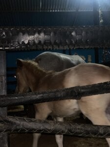 Kobayashiyan_Kun_uWux Public Foto 2