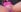 MorenahotcamHot pics照片 3