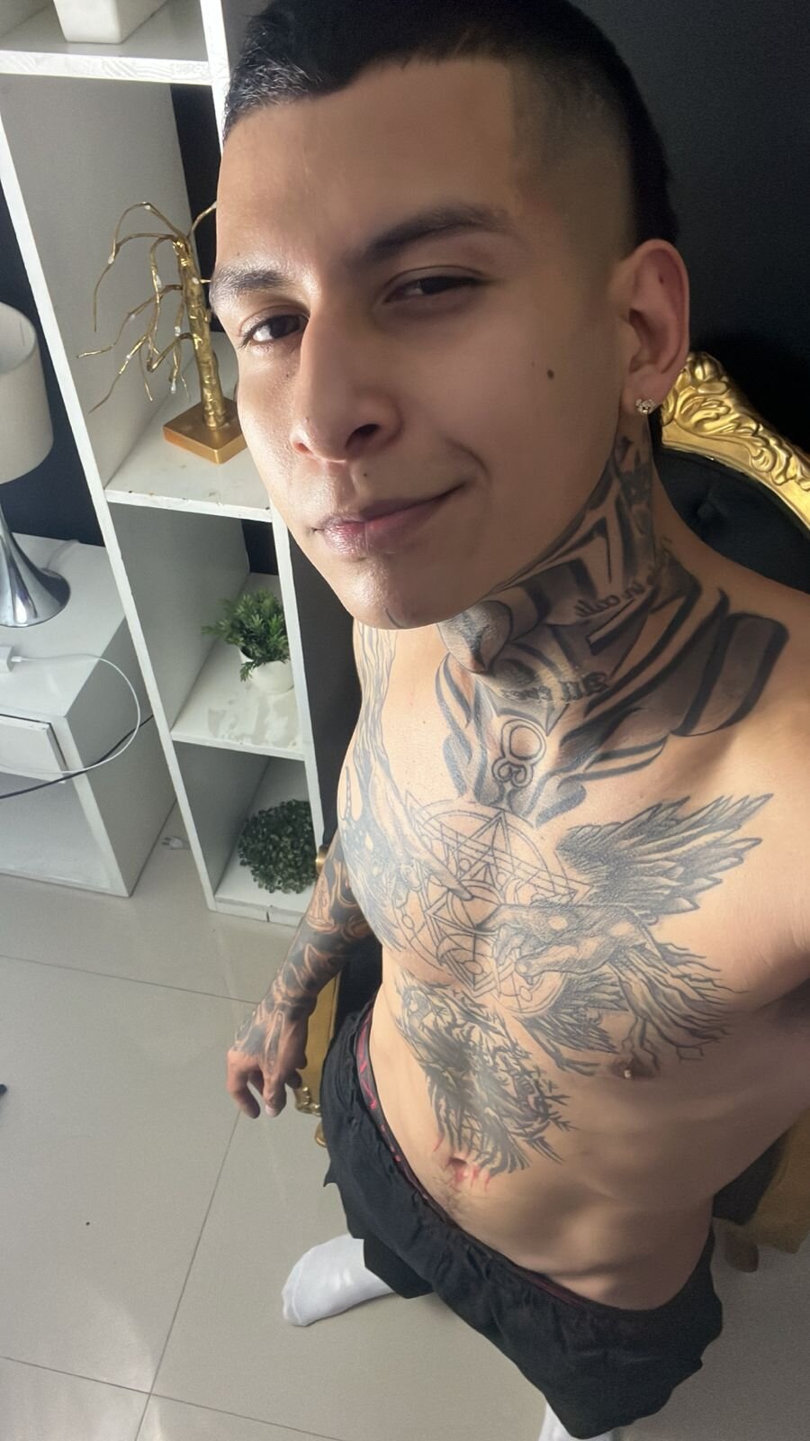 Andrew_sanders68 님의 트렌드 중인 사진  5536개