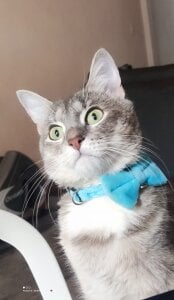 Roja_tentacion Public รูป  4