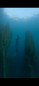 Ms_Monica Free diving in island Hình 5