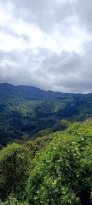 anaroman01 Hike in Monserrate 🏞️ Pic 4