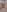 ANNIE_XXXUK Pussy pics Pic 2