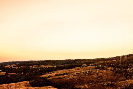 Davi_dlx Public slika 5