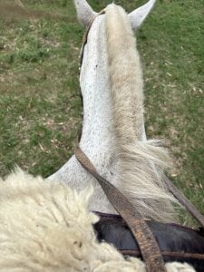 sweetcouple32🌾🐴 Bild 3