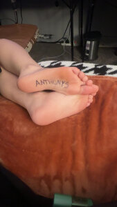 plessr Public Foto 2