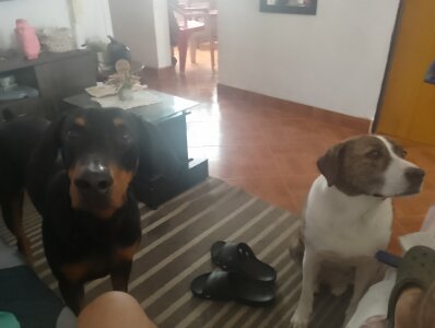 Nick_loove un poco de mi зображення 4