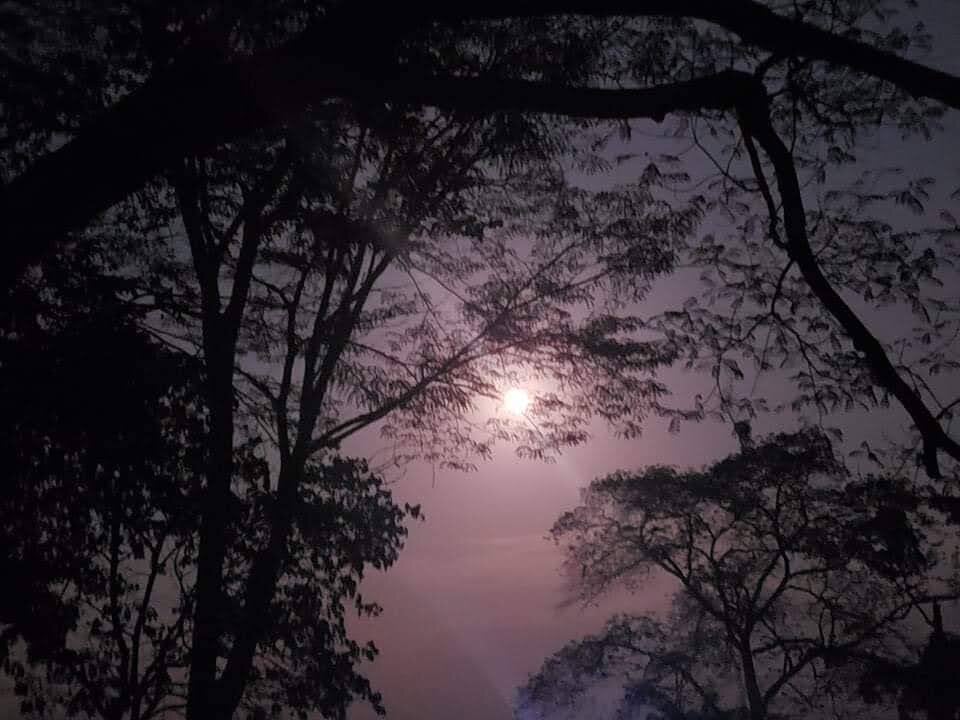 Andy_gray Trending Pic 4121