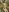 _Soo_dreamy_Oily Breasts + Oily Muscles图片 4