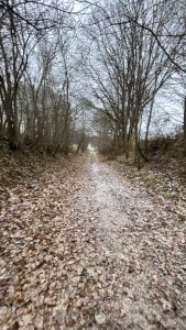 El_pepa_ Algo Bilde 5