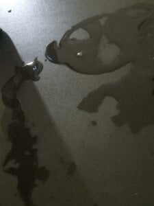 xNatasha Public Pic 2