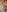 Kate-monroe BEST OF NUDES APRIL 2025 Pic 8