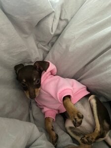 KarynPettas My Maru Foto 5