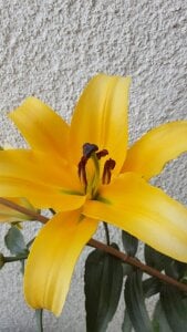 FreezingTie850 Public รูป  5