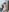 jessi_morgan naughty 사진 6