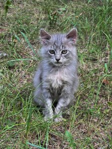 EasterHatter 1 day woth 2 besties Pic 6