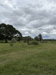 sweetcouple32🌾🐴 Bild 2