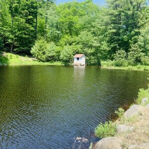 Public de THE_FLOCK  4 Imagens