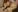 ela_ella naked Photo 9