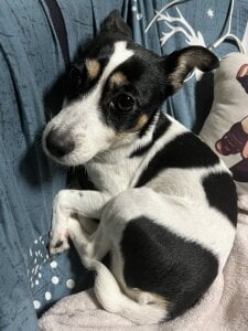 Alvin__Lin Public Pic