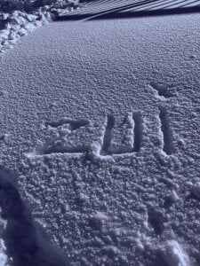 zui_lu ❄️⛄️ Foto 7