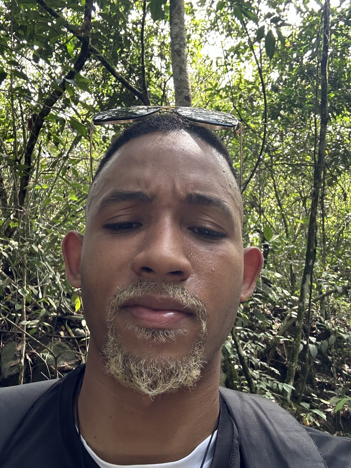 B_Wild Právě oblíbené foto 2180