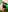Freyaa__ St. Patrick's Day Photo 3