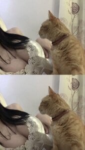 Brena-a Public Hình 3