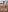 scarce_candy69 SOFT COCK Pic 5