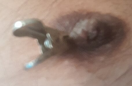 Cucco25 Capezzoli Kuva 2