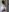 hot_momtobe Ass naked/doggy🍑 Foto  2