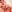 Ashtaylorxxx Full nudes. Dick+Face Pic 5