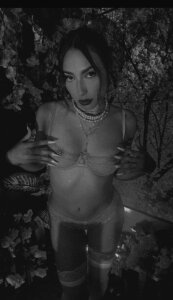 love_velvet_velvet图片 4